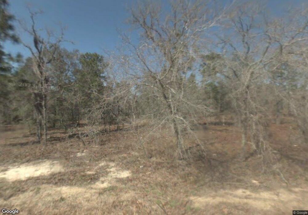 443 E Benjamin St, Hernando, FL 34442 - photo 1