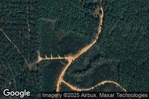 495 Ina Dr, Trout, LA 71371
