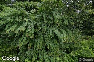 5739 S Riddle Rd, English, IN 47118