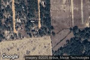 267 Palm Meadow Ave, Nicholls, GA 31554