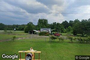 101 Pyles Rd, Elko, GA 31025