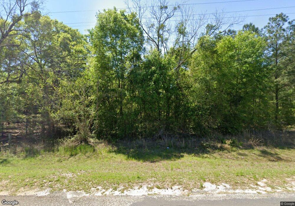 10119 Vines Rd, Baconton, GA 31716 - photo 1