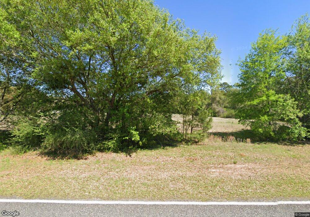 6558 Mount Olive Rd, Pelham, GA 31779 - photo 1