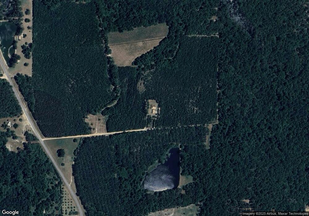 110 Ralph Wommack Rd, Hazlehurst, GA 31539 - photo 1