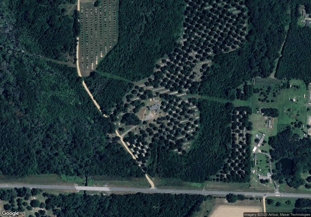 123 Quart Douglas Rd, Alma, GA 31510 - photo 1