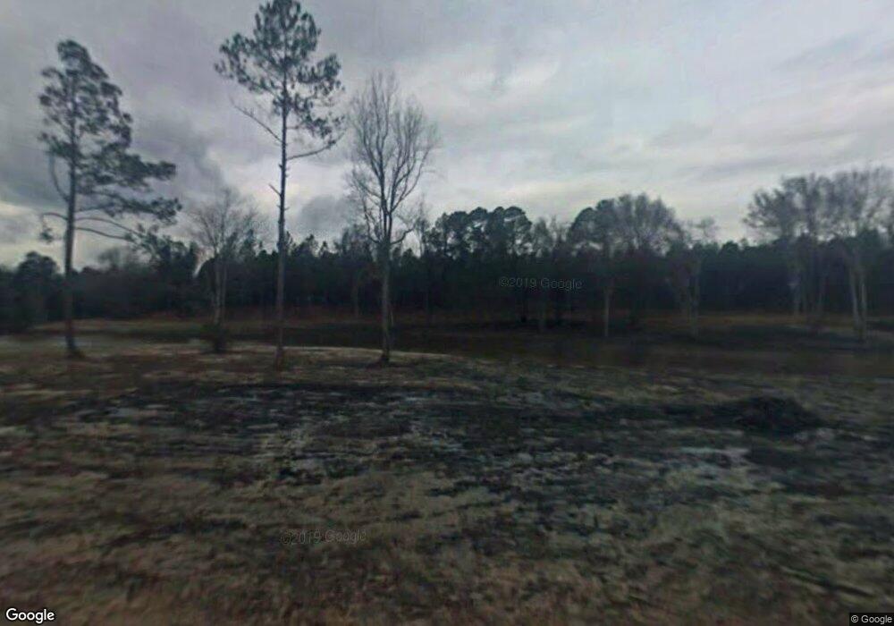 2069 Old Bethel Rd, Ailey, GA 30410 - photo 1