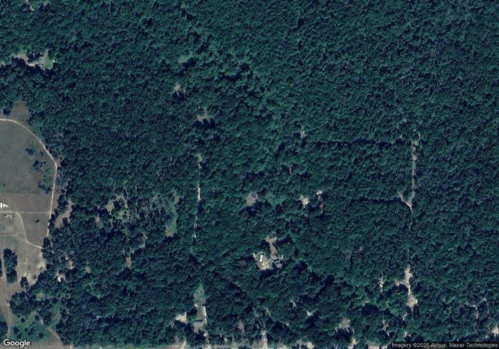 13156 Bucktrail N, Bitely, MI 49309 - photo 1