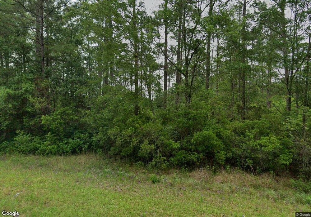 1000 Bridgetown Rd N, Willacoochee, GA 31650 - photo 1