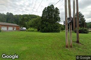 4833 Ogdensburg Rd, Roaring Branch, PA 17765