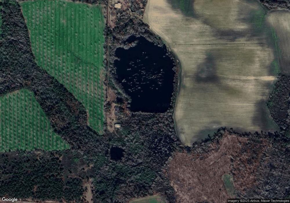 161 Carver Lake Way, Ambrose, GA 31512 - photo 1