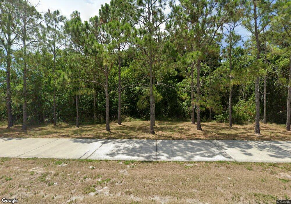 9715 Asbel Rd, Land O Lakes, FL 34638 - photo 1
