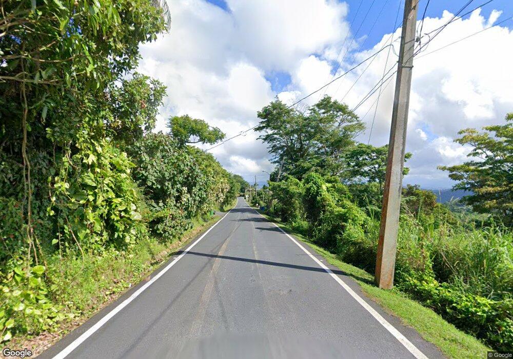 PR 763 Borinquen Atravesada unit Lot 5, Caguas, PR 00725 - photo 1