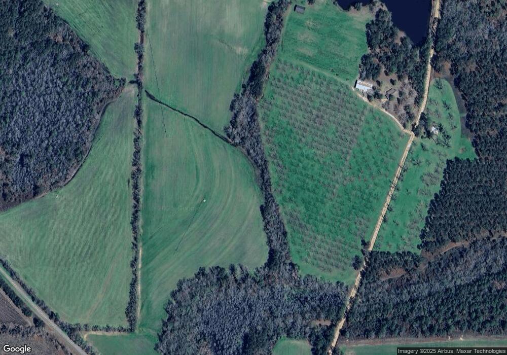 4517 Hodges Rd, Dixie, GA 31629 - photo 1