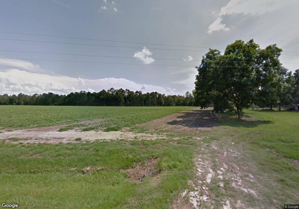 2121 Cranford Sumner Rd, Lenox, GA 31637 - photo 1