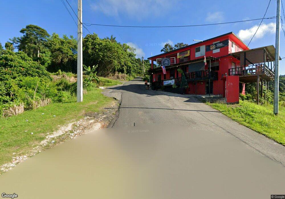 Km 1.8 Carr 931 Sector Bezares, San Lorenzo, PR 00754 - photo 1