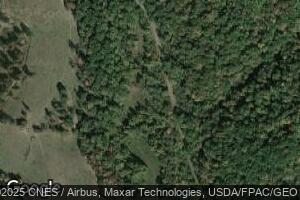 3 Three Prong Rd, Garrison, KY 41141