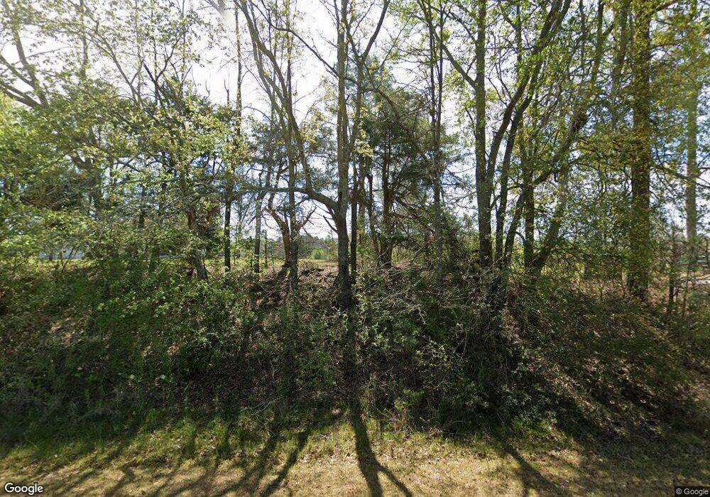 5459 County Line Rd, Wray, GA 31798 - photo 1