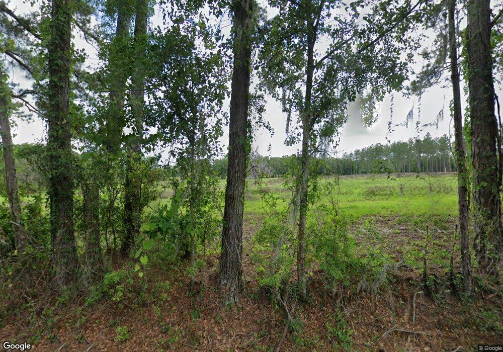 528 SE Leslie Wood Ln, Lulu, FL 32061 - photo 1