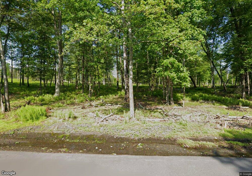 Box 341 Seese Hill Rd, Barrett Township, PA 18325 - photo 1