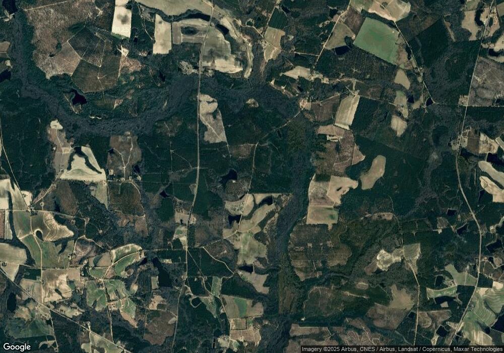 0 Paddy Ford Rd unit 7623379, Metter, GA 30439 - photo 1