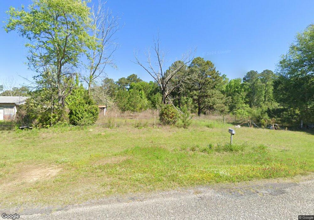 5459 County Line Rd, Pelham, GA 31779 - photo 1