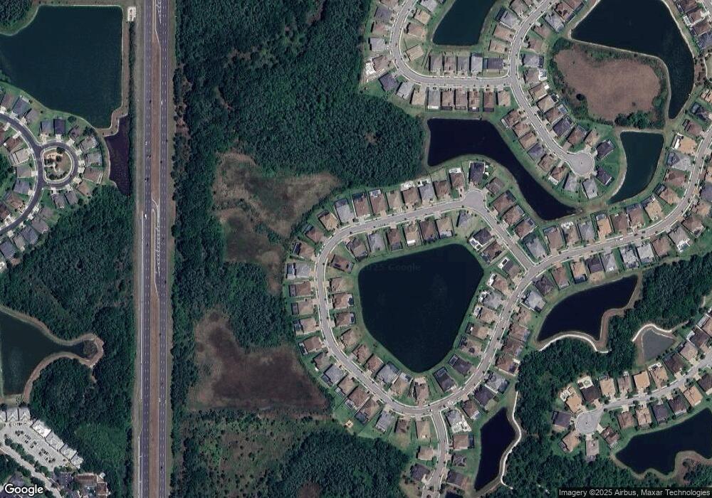 28501 Picana Ln, Wesley Chapel, FL 33543 - photo 1