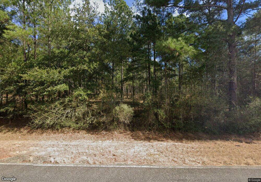 373 Mitchell County Line Rd, Meigs, GA 31765 - photo 1