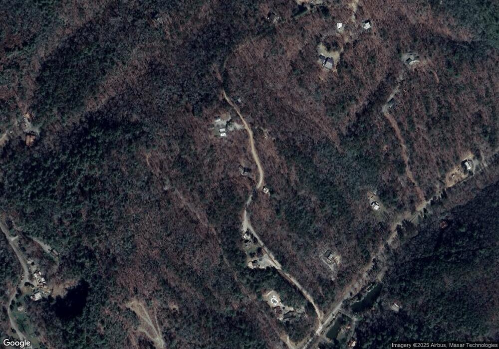 241 Bear Mountain Pass, Mineral Bluff, GA 30559 - photo 1