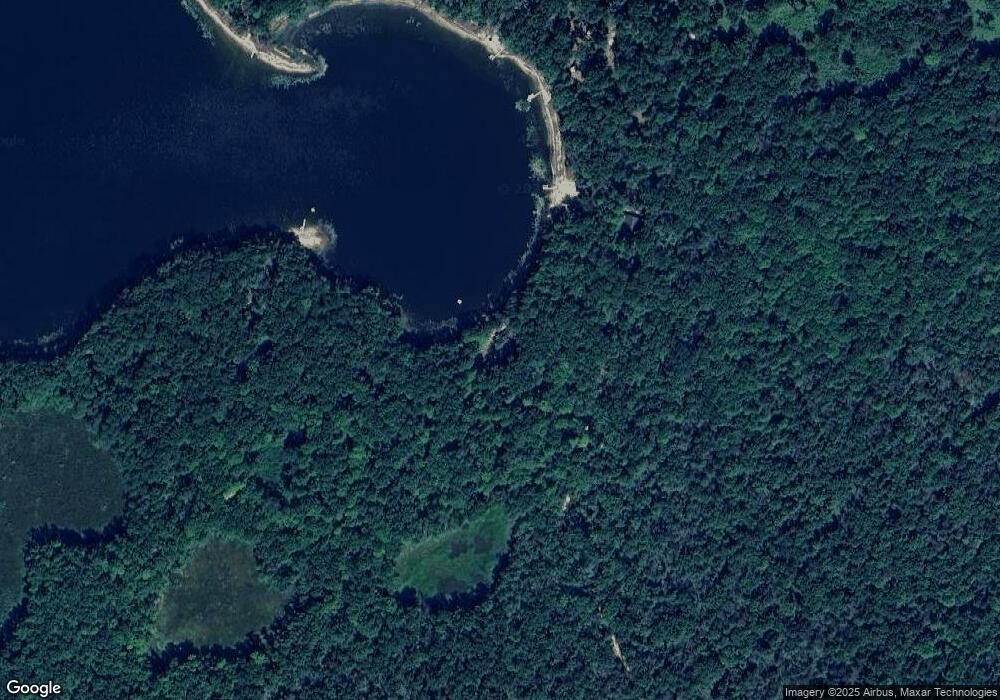 12701 N Bingham Ave, Bitely, MI 49309 - photo 1