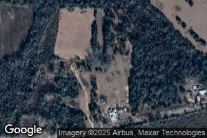 104 Jasper Brown Rd, Pansey, AL 36370