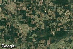 TBD County Road 40, Blevins, AR 71825