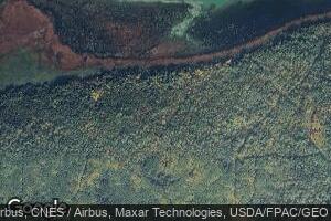 7710 Young's Bay Drive Nw--92 Acres, Angle Township, MN 56711