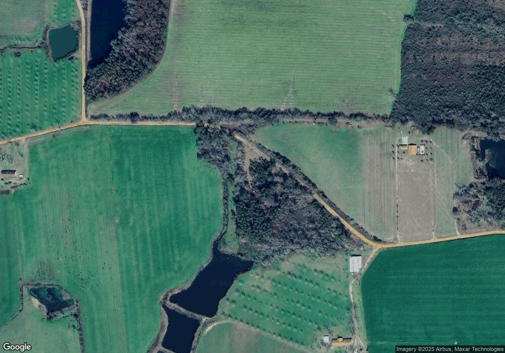 4369 Coochee Creek Rd, Willacoochee, GA 31650 - photo 1