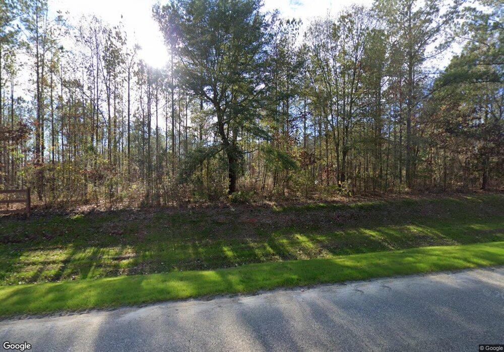 1154 Attapulgus Climax Rd, Climax, GA 39834 - photo 1