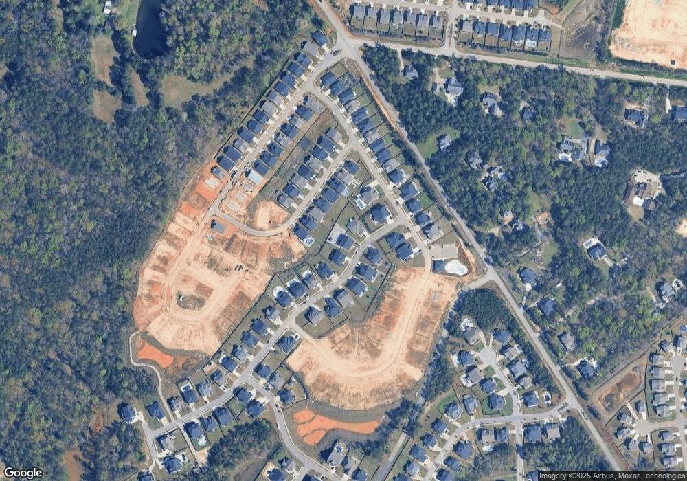 2127 Ludlow Place unit 325, Chapin, SC 29036 - photo 1