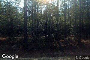 14190 MacWac Lake Rd, Cobbtown, GA 30420