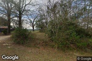 154 Lower Forks Rd, Leslie, GA 31764