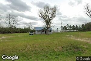 2442 Georgia 93, Pelham, GA 31779