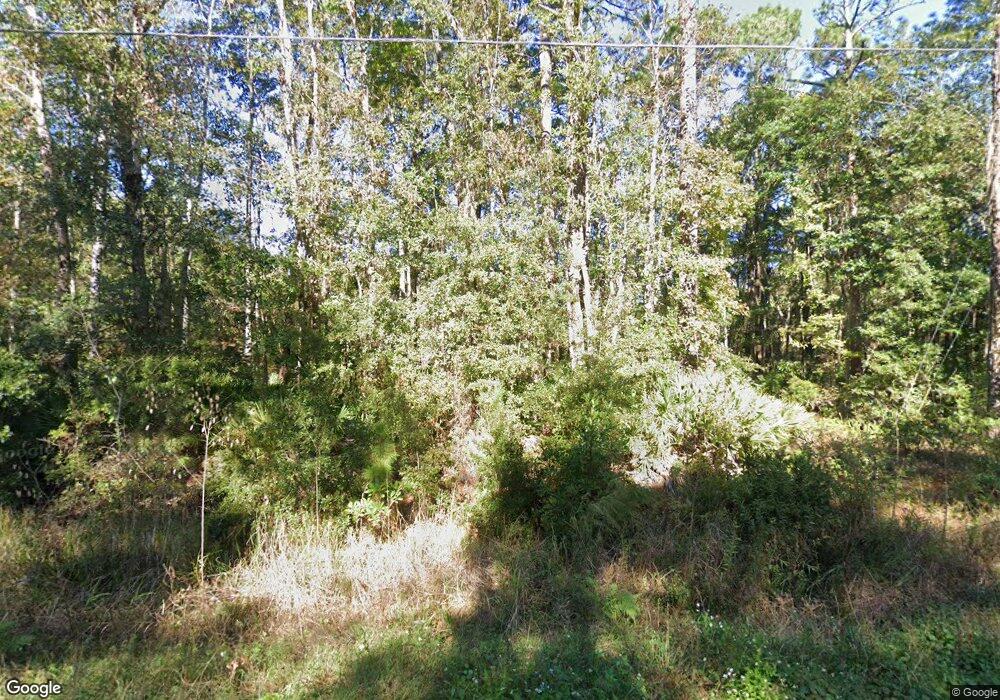 1871 Swamp Rd SE, Townsend, GA 31331 - photo 1