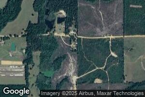 67 Viola Hollingshead Dr, Millry, AL 36558