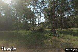 4866 Findley Place, Cobbtown, GA 30420