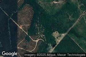 591 Jay Bird Springs Rd, Chauncey, GA 31011