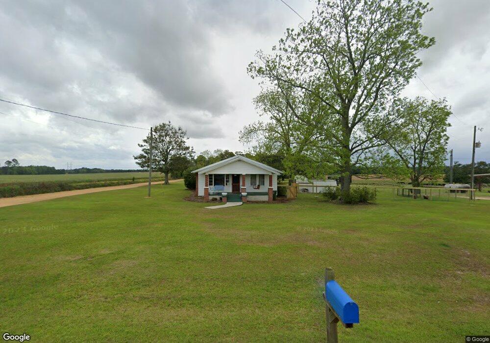 407 Mike Horne Rd, Doerun, GA 31744 - photo 1