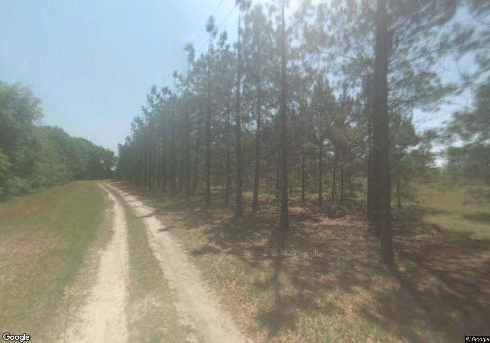 4501 Woodchuck Ln, Blackshear, GA 31516 - photo 1