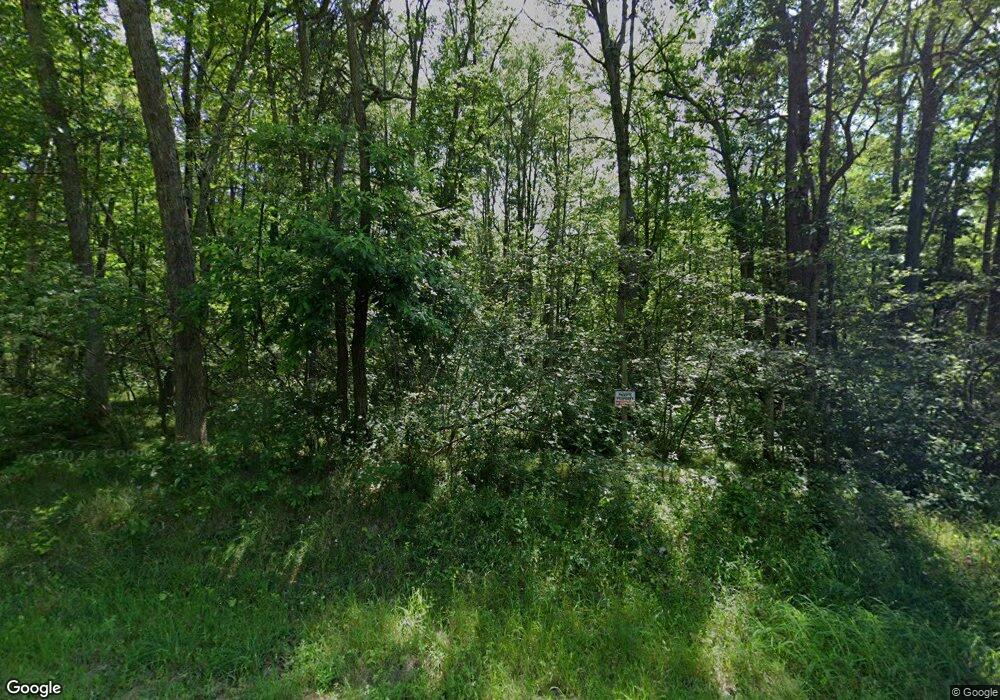 1176 W Woodland Park Dr, Bitely, MI 49309 - photo 1