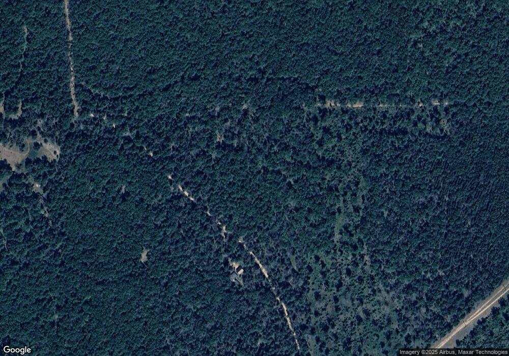 10482 S Everblooming Dr, Baldwin, MI 49304 - photo 1