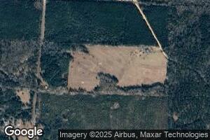 1655 Souter Rd, Ellaville, GA 31806