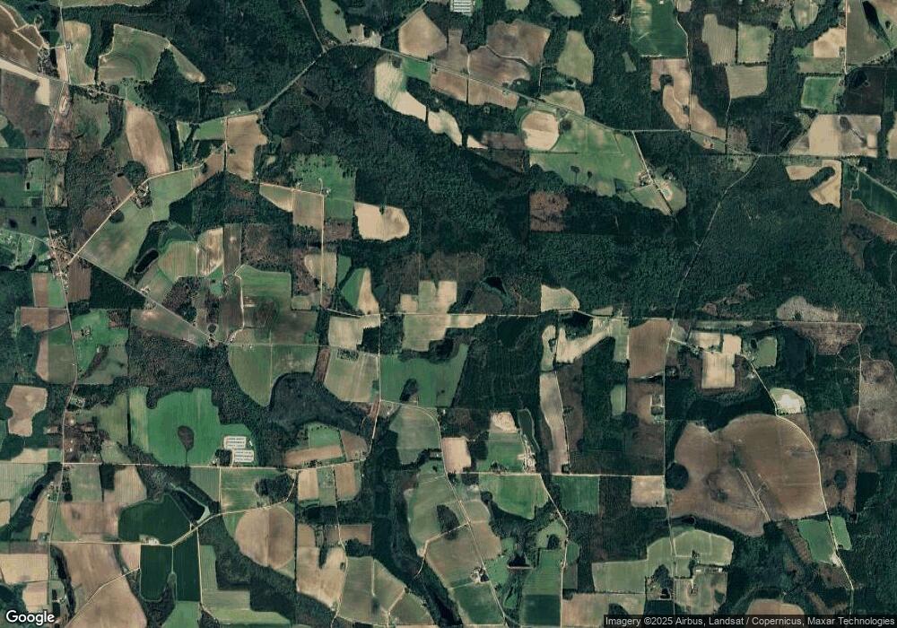 00 Ray van Brackle Rd Tract 1, Lenox, GA - photo 1