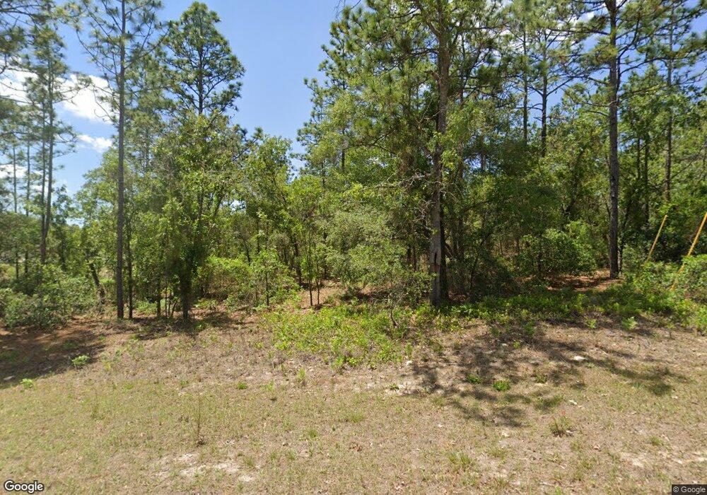 9870 N Sistine Terrace, Citrus Springs, FL 34433 - photo 1