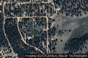 12397 S Danny Ave, Pine, CO 80470